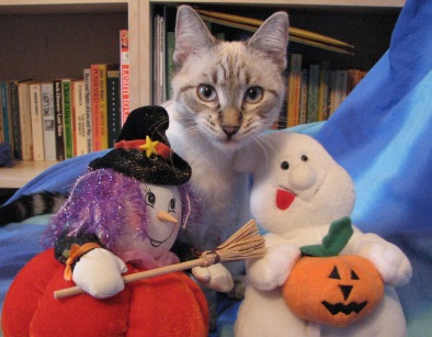 Peekaboo and the Halloween puppets